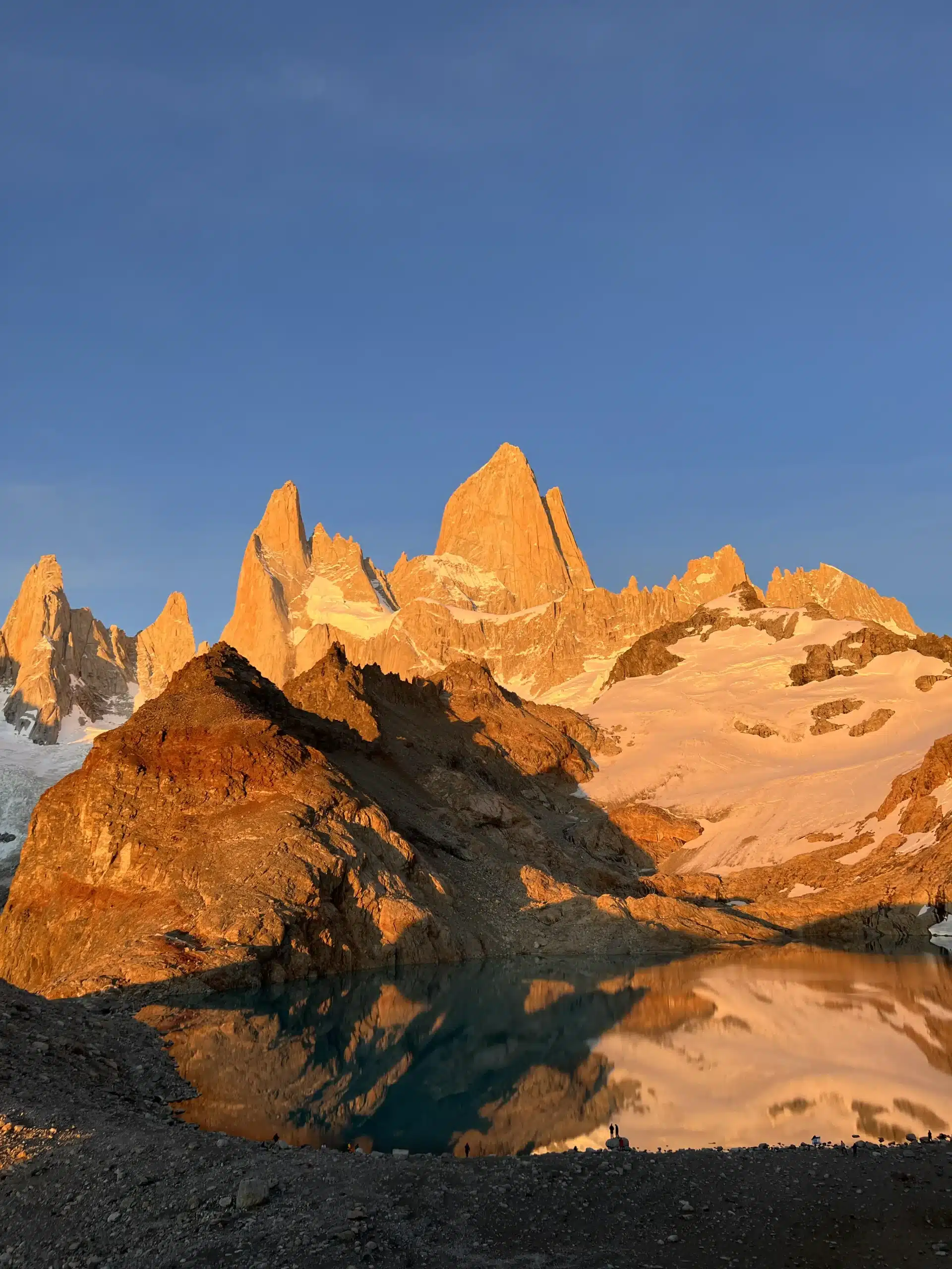 Fitz roy